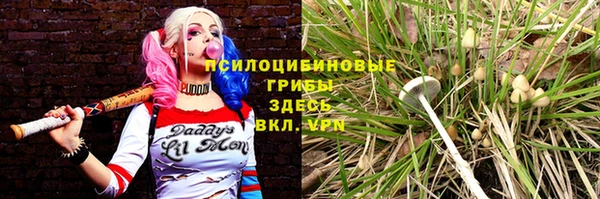 молекула духа Богородицк